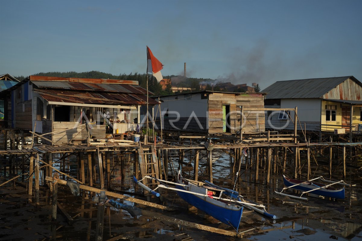 MIGRASI SUKU BAJO POMALAA KOLAKA ANTARA Foto