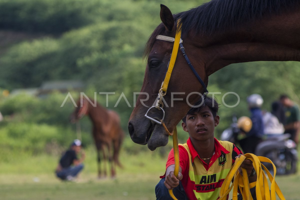 Kamp Pelatihan Kuda Pacu Antara Foto