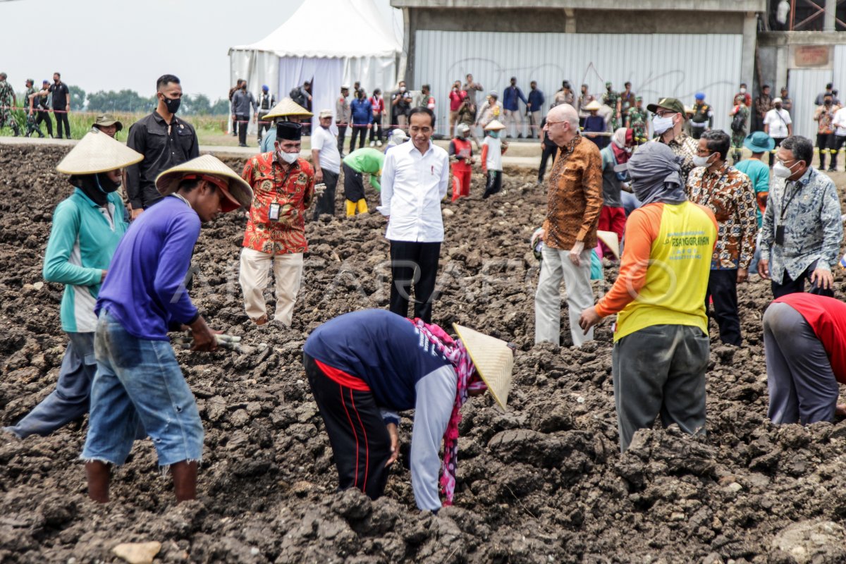 KUNJUNGAN PRESIDEN JOKOWI DI MOJOKERTO ANTARA Foto