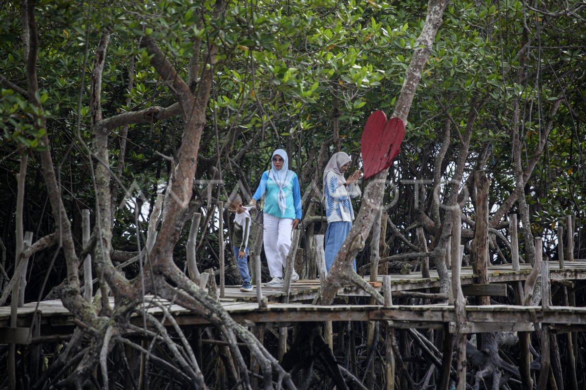 Pengembangan Desa Wisata Kampung Tua Di Batam Antara Foto