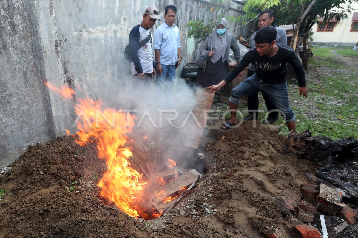 PENGUBURAN BANGKAI HARIMAU SUMATRA ANTARA Foto