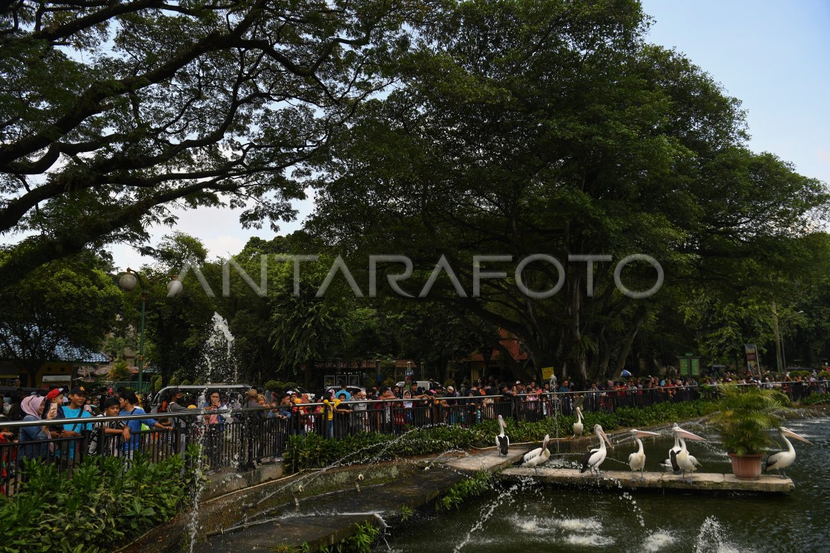 TAMAN MARGASATWA RAGUNAN PADAT PENGUNJUNG ANTARA Foto