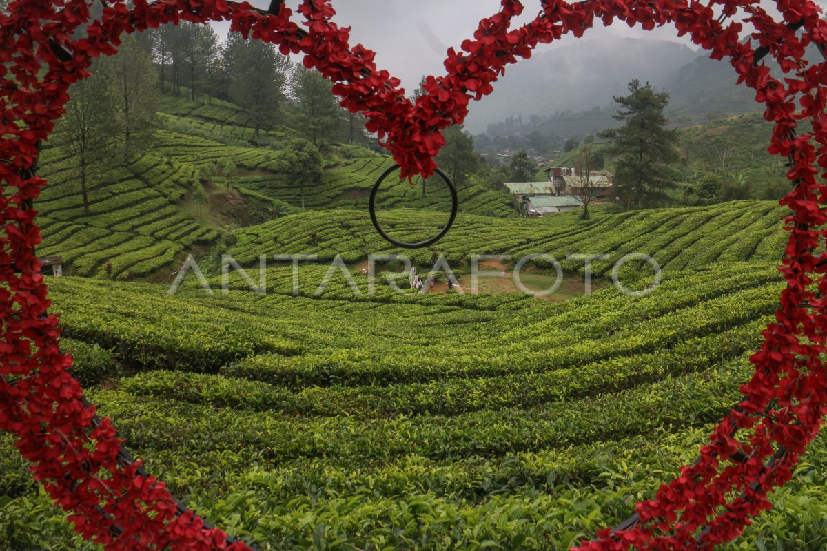 Kunjungan Wisata Ke Jawa Barat Antara Foto