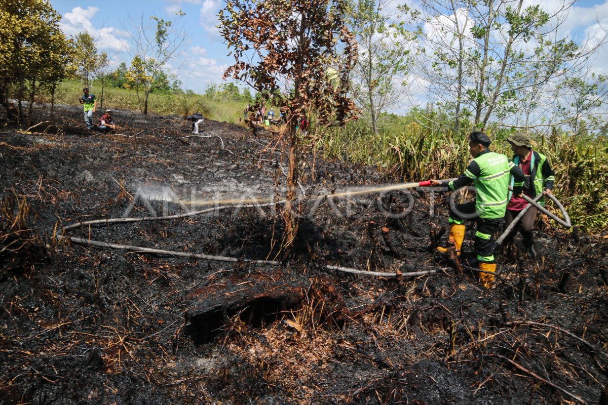 Pemadaman Kebakaran Lahan Di Palangka Raya ANTARA Foto