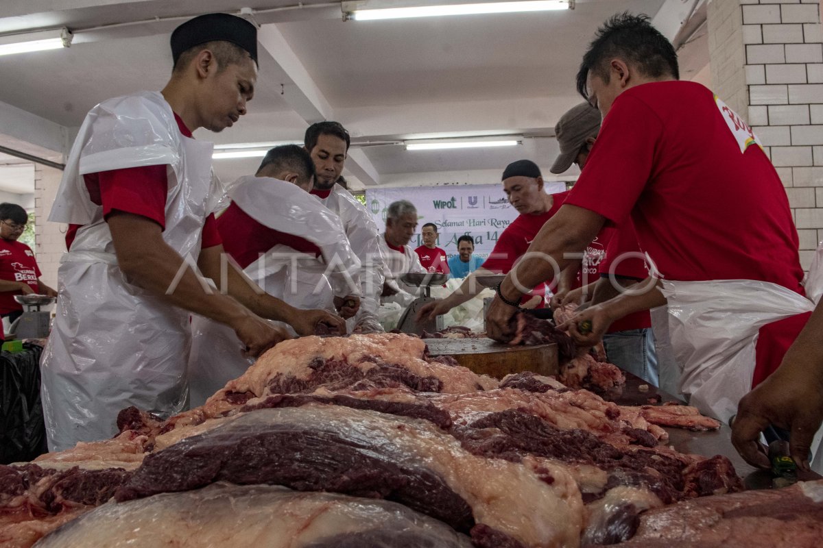 Pemotongan Hewan Kurban Di Masjid Istiqlal ANTARA Foto