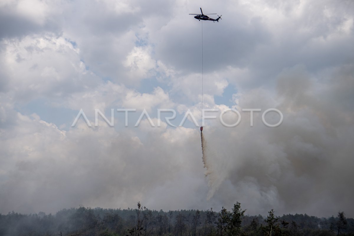 Upaya Pemadaman Kebakaran Lahan Gambut Di OKI ANTARA Foto