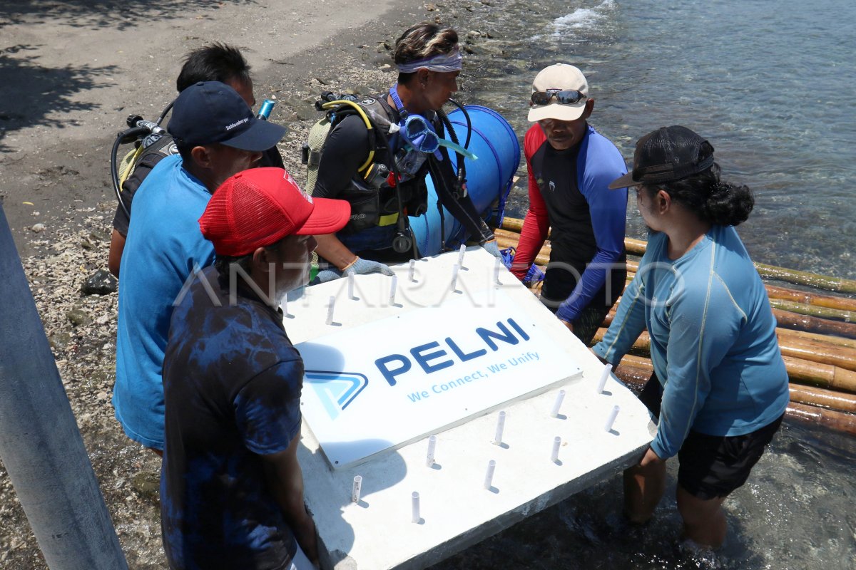 Rehabilitasi Ekosistem Terumbu Karang ANTARA Foto