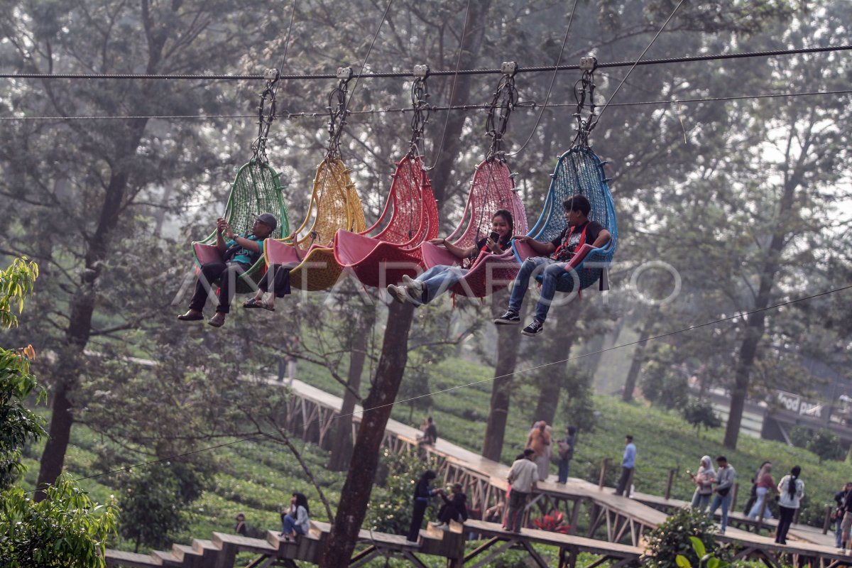 Wisatawan Padati Kebun Teh Puncak Bogor Antara Foto