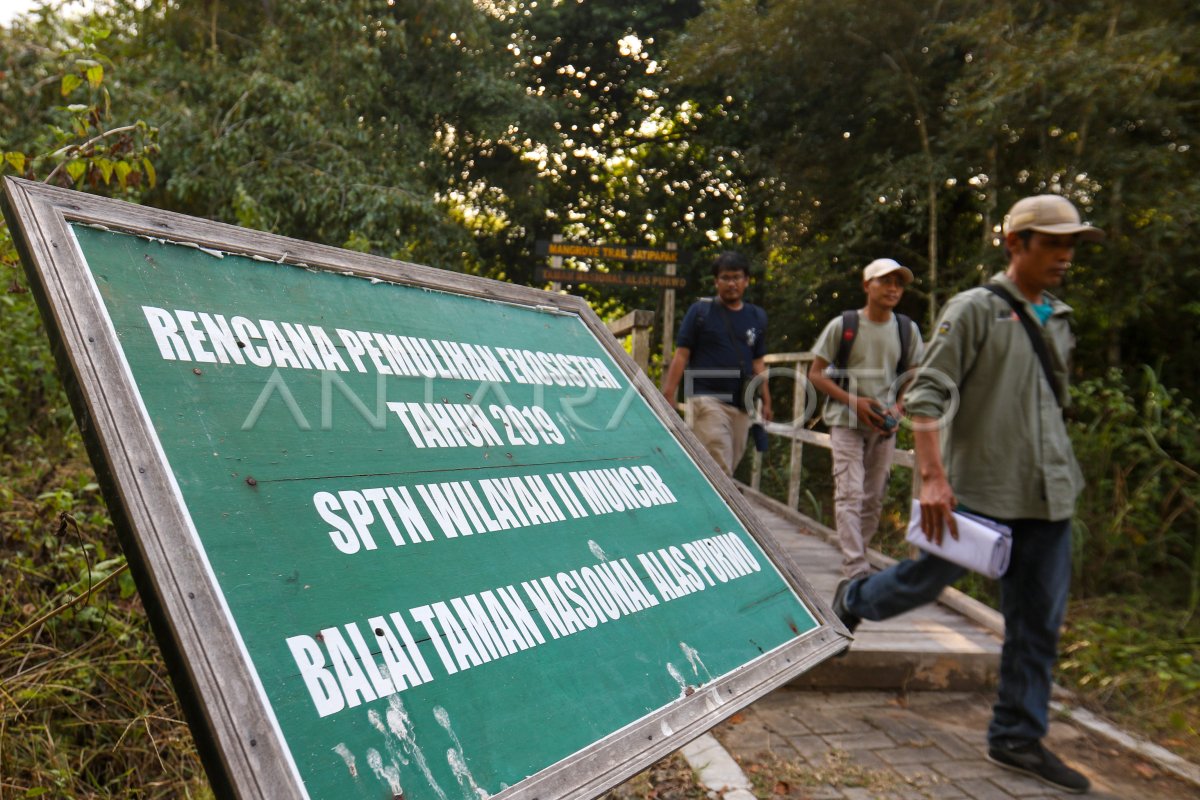 Penataan Kawasan Taman Nasional Alas Purwo ANTARA Foto