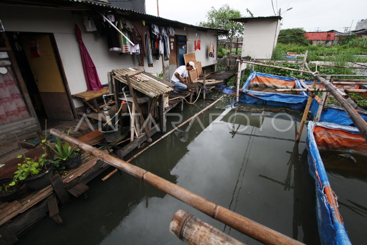 Perencanaan Relokasi Warga Kampung Apung Antara Foto