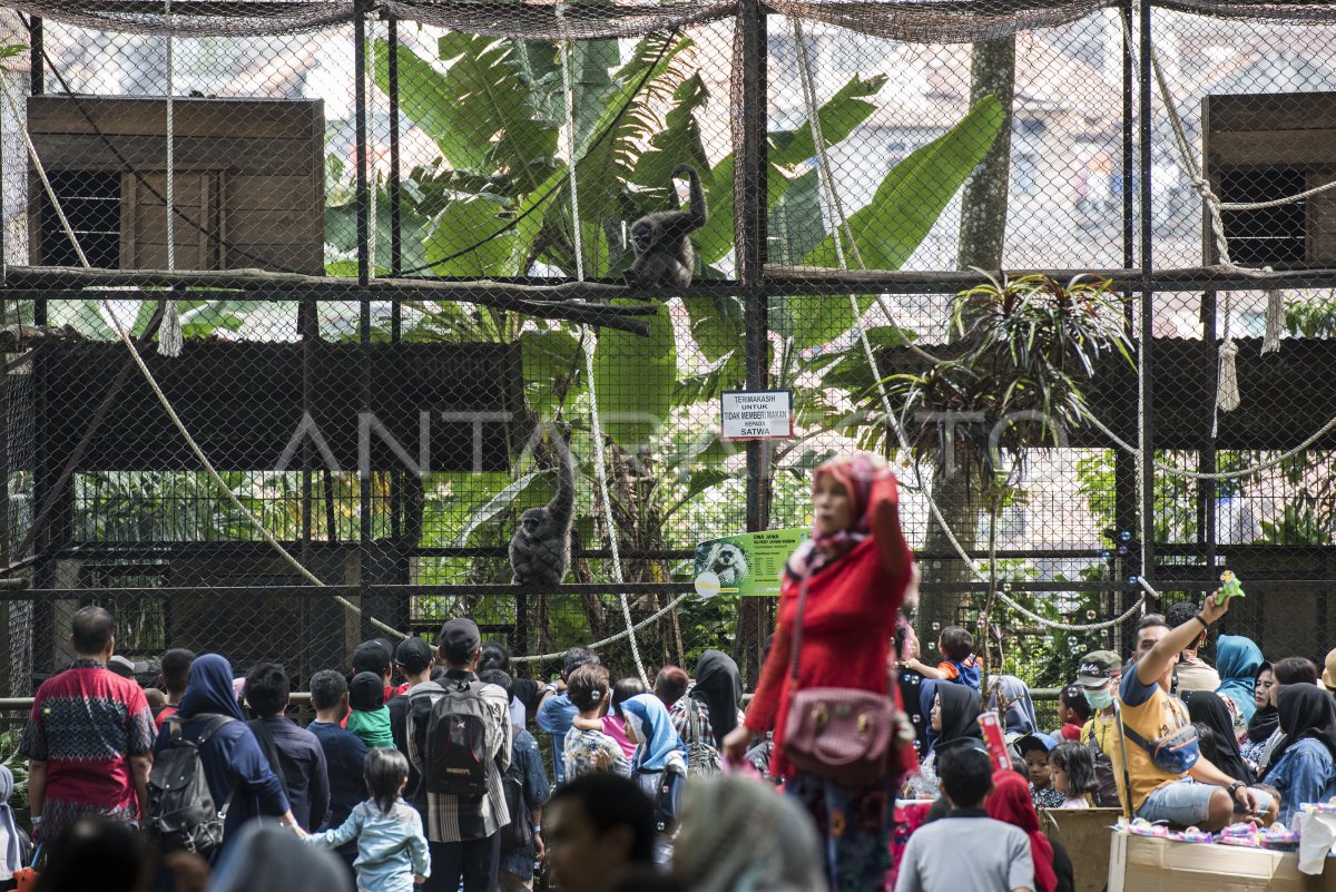 Wisata Kebun Binatang Bandung Antara Foto