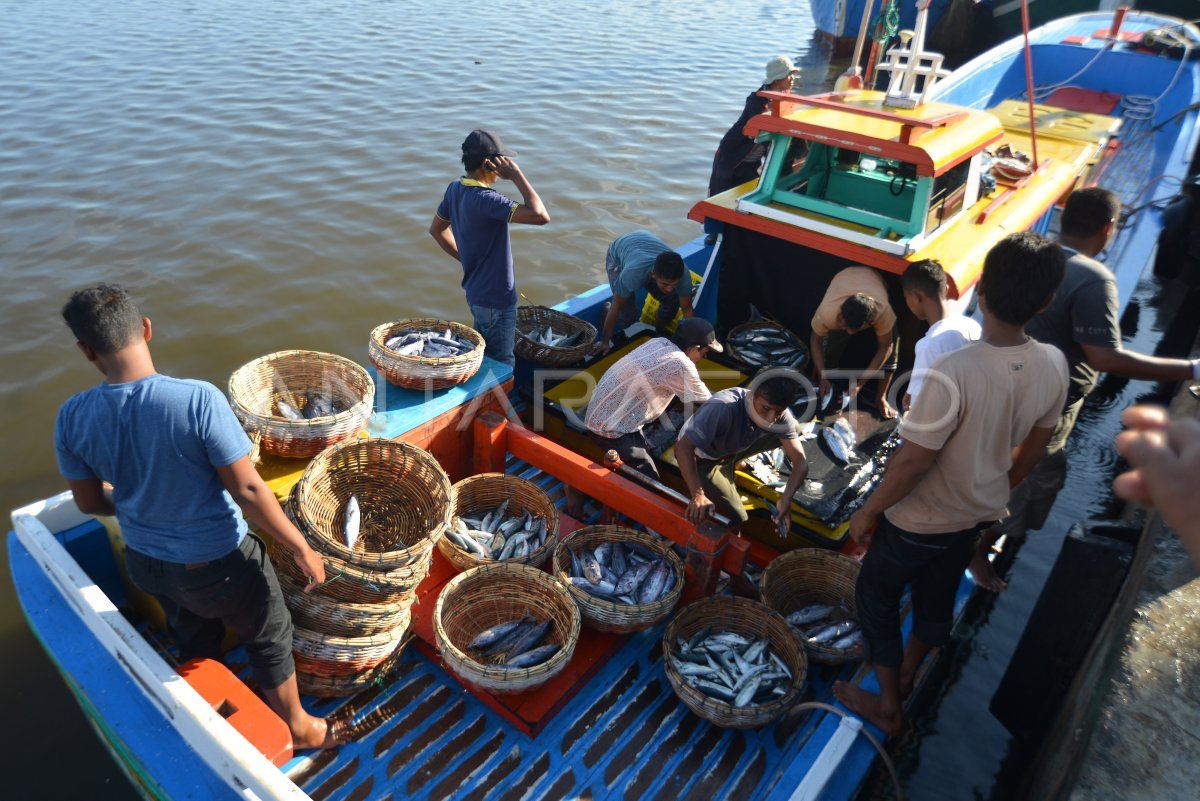 Harga Ikan Naik Antara Foto