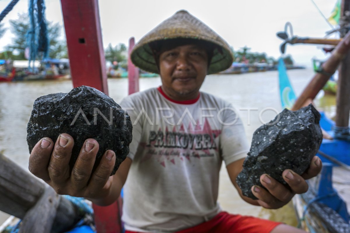 JARING IKAN NELAYAN TERSANGKUT BATU BARA ANTARA Foto