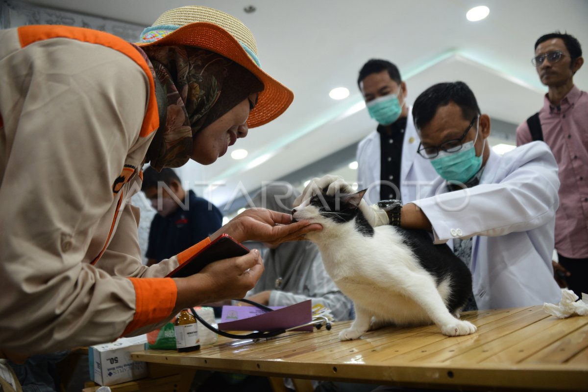 VAKSINASI RABIES BAGI HEWAN PELIHARAAN ANTARA Foto