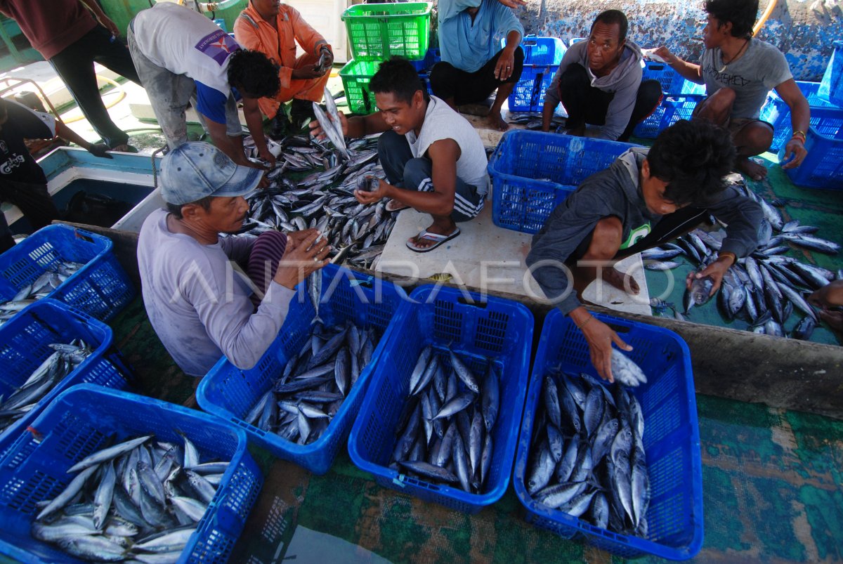 PRODUKSI PERIKANAN MENINGKAT ANTARA Foto