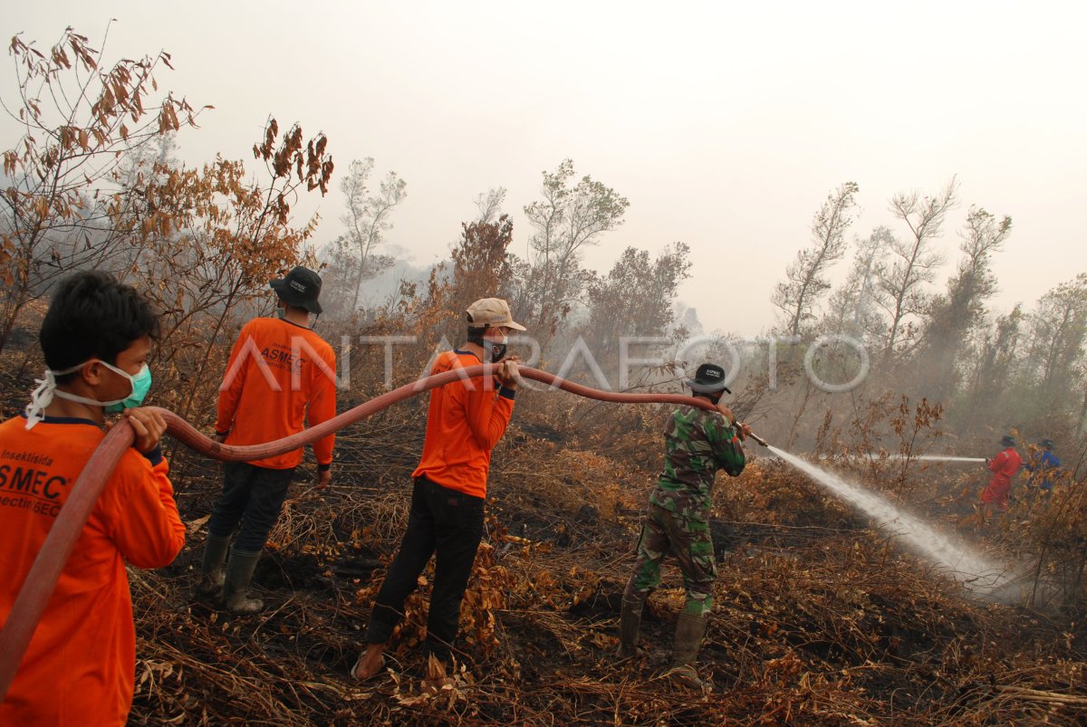 Pemadaman Kebakaran Lahan Gambut Antara Foto