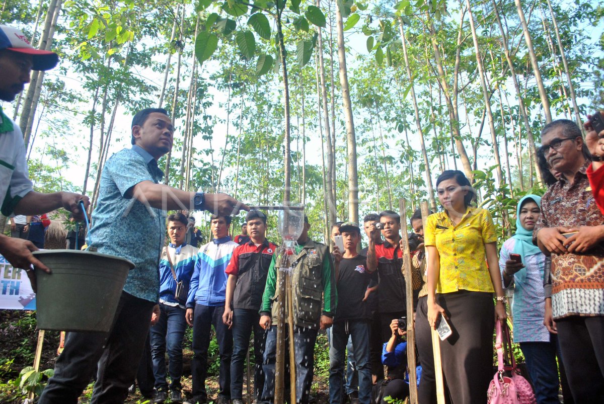 Tanam Pohon Kalpataru Antara Foto