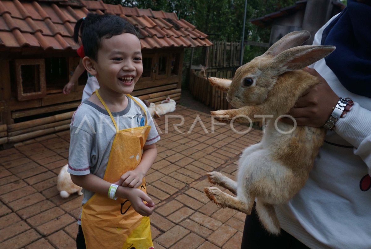 Wisata Edukasi Binatang Antara Foto