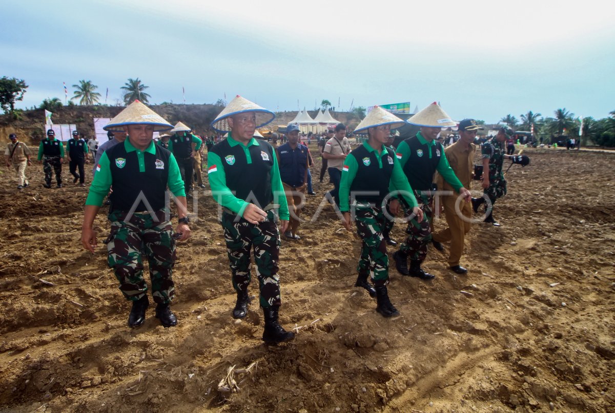 Penanaman Jagung Nasional Pangdam Iskandar Muda Antara Foto