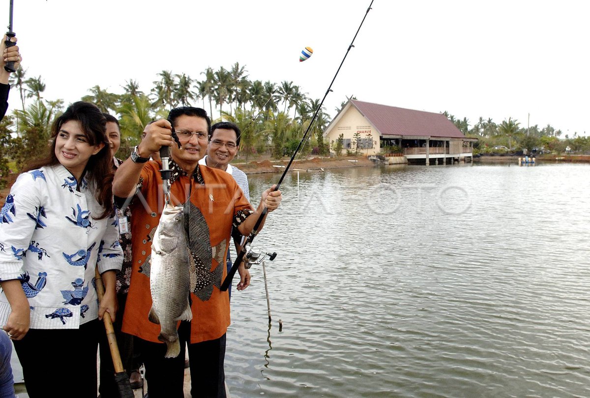 BUDIDAYA IKAN ANTARA Foto