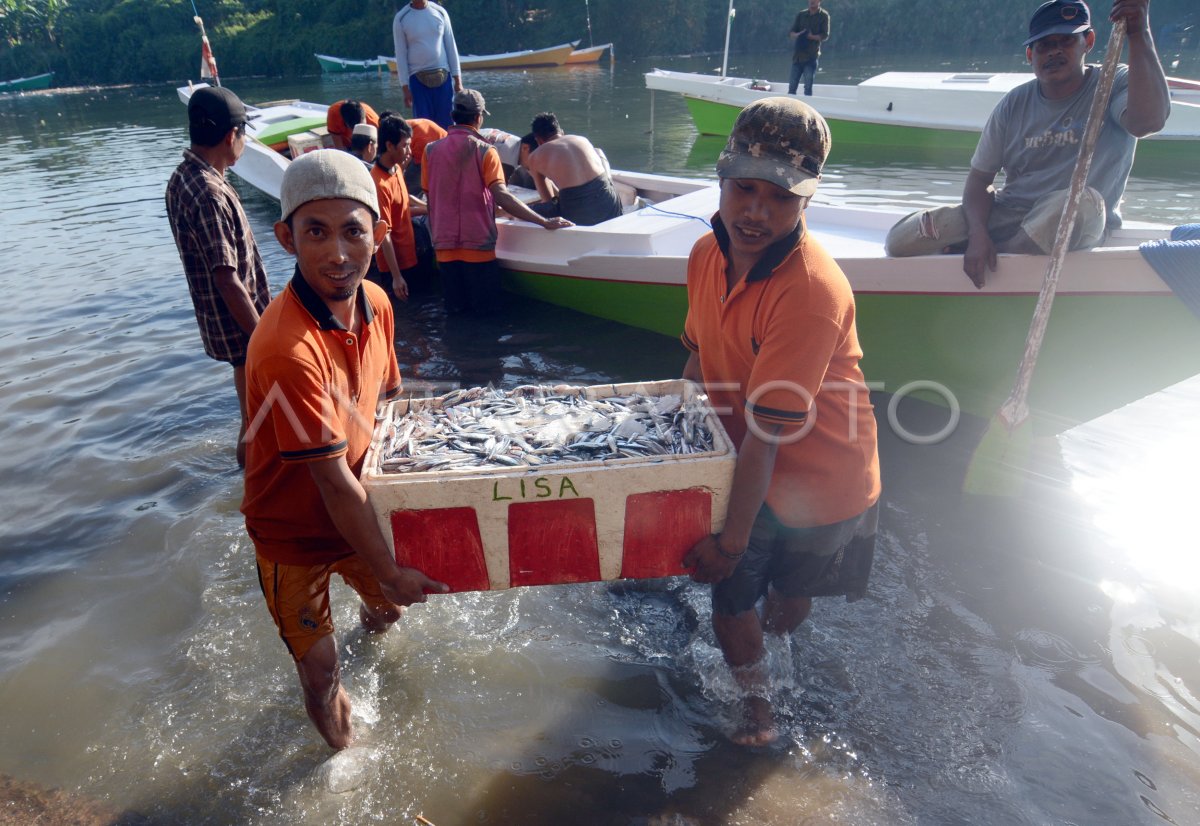 Ikan Tangkapan Nelayan Antara Foto