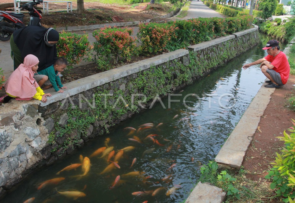 BUDI DAYA IKAN DI SALURAN AIR ANTARA Foto