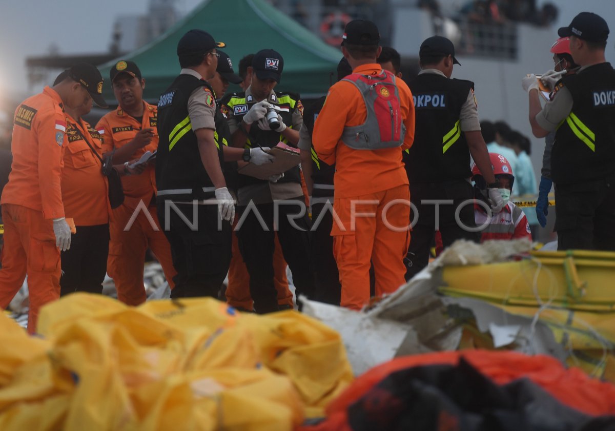 Korban Jatuhnya Pesawat Lion Air Jt Antara Foto