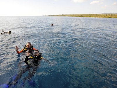 Wisata Laut Pulau Moyo Antara Foto