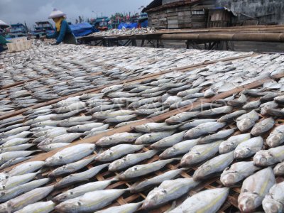 HARGA IKAN ASIN NAIK ANTARA Foto