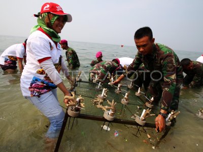 PENANAMAN TERUMBU KARANG DAN MANGROVE ANTARA Foto