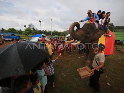 Gajah Way Kambas Hibur Warga Antara Foto