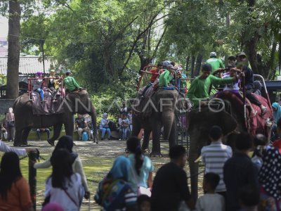 WISATA KEBUN BINATANG SURABAYA ANTARA Foto