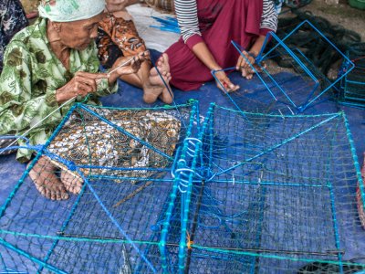 BANTUAN ALAT TANGKAP RAJUNGAN RAMAH LINGKUNGAN ANTARA Foto