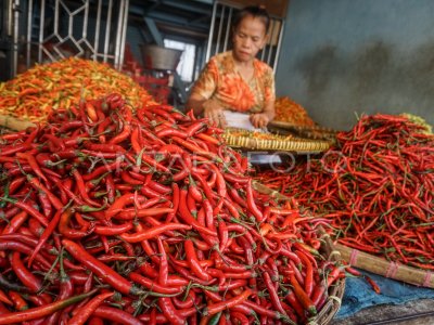 Kenaikan Harga Cabai Di Solo Antara Foto