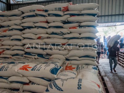 BULOG SERAP BERAS PETANI LOKAL ANTARA Foto