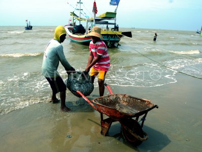 Permintaan Ikan Kering Meningkat Antara Foto