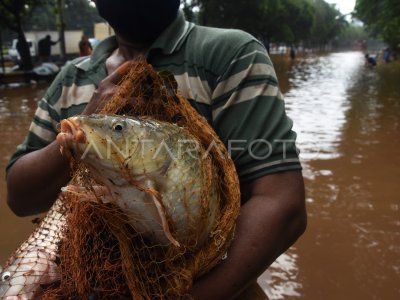 MENJALA IKAN DI TENGAH BANJIR ANTARA Foto