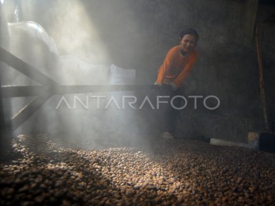 PENGOLAHAN KOPI TRADISIONAL KOTO TUO ANTARA Foto