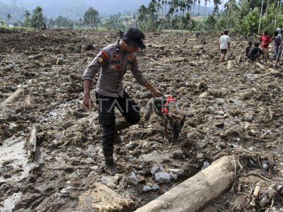 PENCARIAN KORBAN LONGSOR DI PASAMAN ANTARA Foto