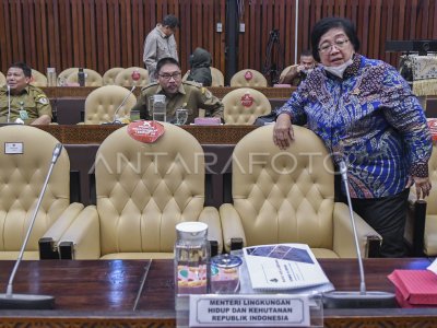 Raker Menteri Klhk Dengan Komisi Iv Dpr Ri Antara Foto