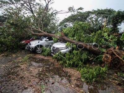 Dampak Angin Puting Beliung Antara Foto