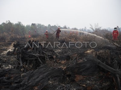 Upaya Pemadaman Kebakaran Lahan Gambut Di Desa Jungkal ANTARA Foto