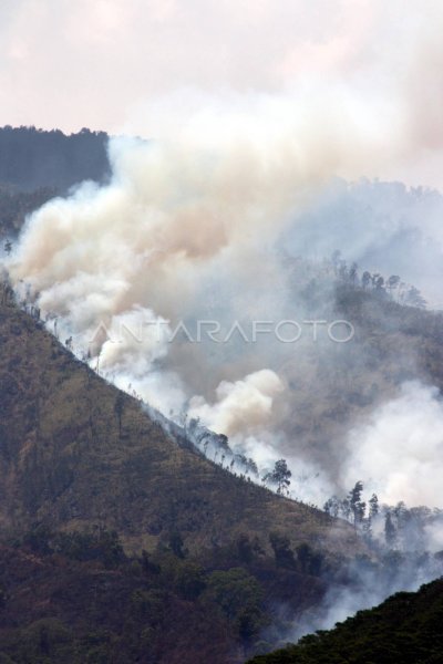 Kebakaran Hutan Dan Lahan Di Gunung Arjuno Antara Foto