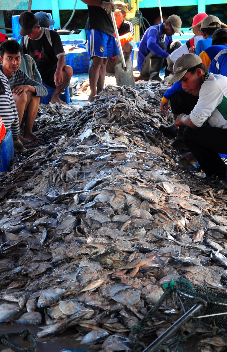 Tangkapan Ikan Berkurang Antara Foto