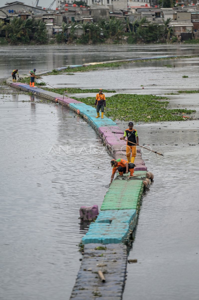 Pembersihan Waduk Pluit Di Jakarta Antara Foto