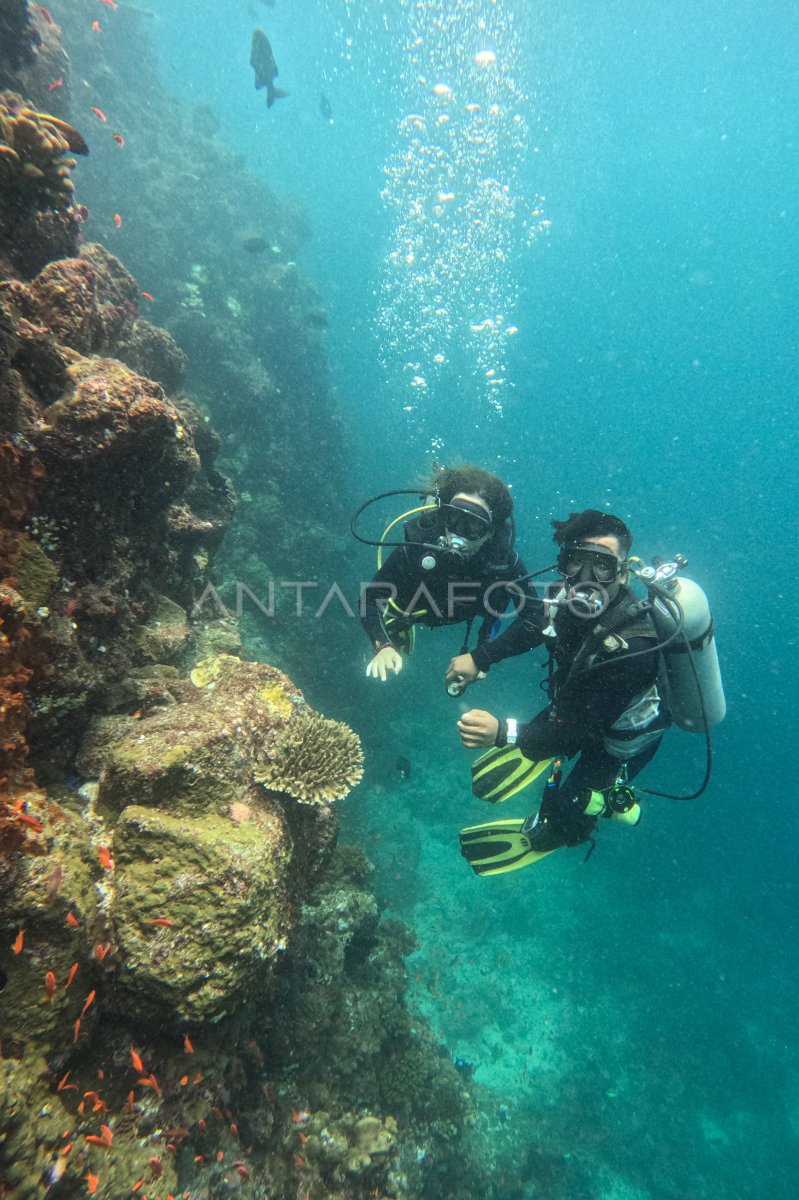 Wisata Selam Unggulan Di Pulau Weh Sabang ANTARA Foto