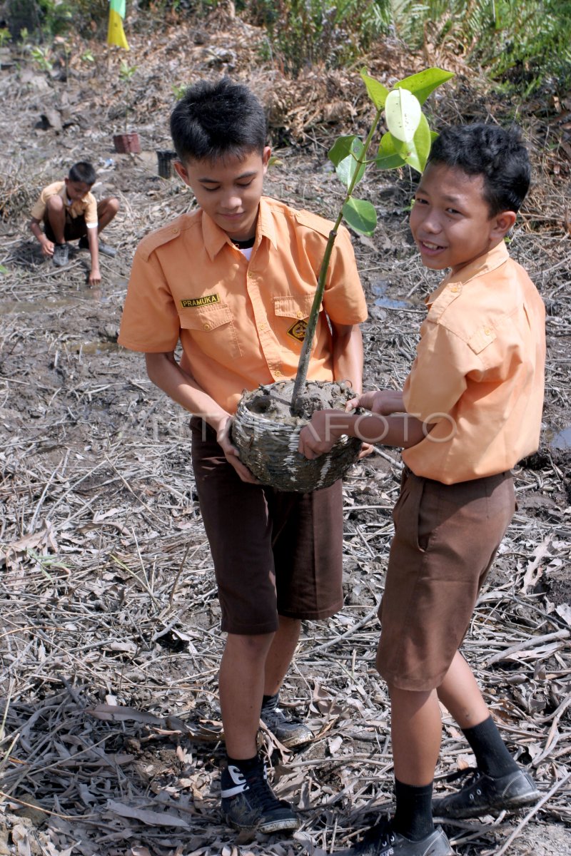 Siswa Tanam Mangrove Antara Foto