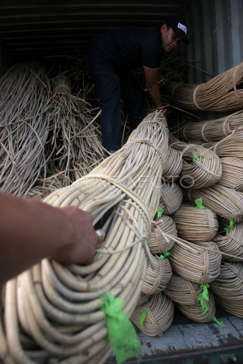 PENGGAGALAN PENYELUNDUPAN ROTAN ANTARA Foto