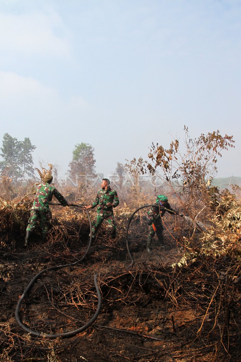 TNI PADAMKAN KEBAKARAN HUTAN ANTARA Foto