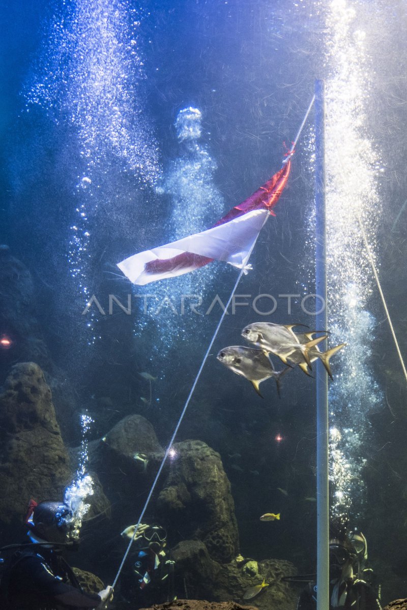 PENGIBARAN MERAH PUTIH SEA WORLD ANTARA Foto